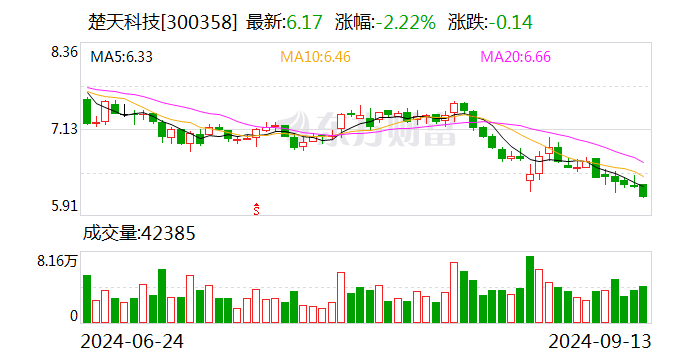 楚天科技“90后”高管雷雨辞职,近日被取保候审